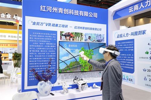 云南信息技術(shù)咨詢服務(wù)在第三屆全國(guó)人力資源服務(wù)業(yè)發(fā)展大會(huì)中展風(fēng)采